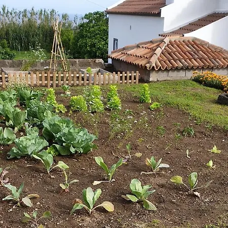 Casa Pavao * Pilar